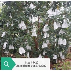 TÚI BỌC TRÁI CÂY KÍCH THƯỚC 25X30