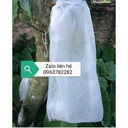 TÚI BỌC TRÁI CÂY KÍCH THƯỚC 50X60