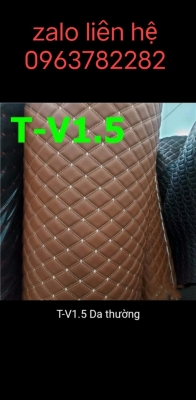 BOC TRAN 5D LOAI T-V1.5